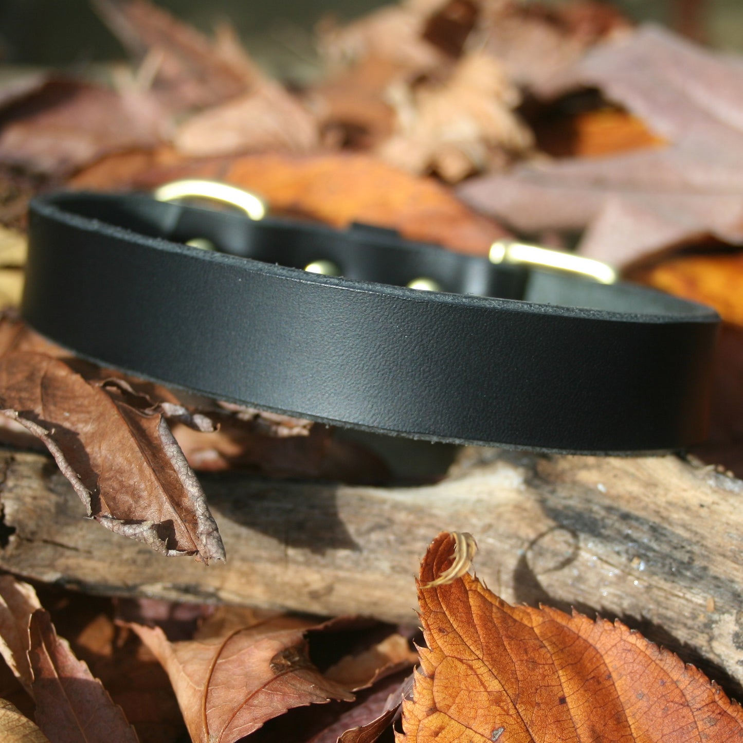 Classic Leather Collars