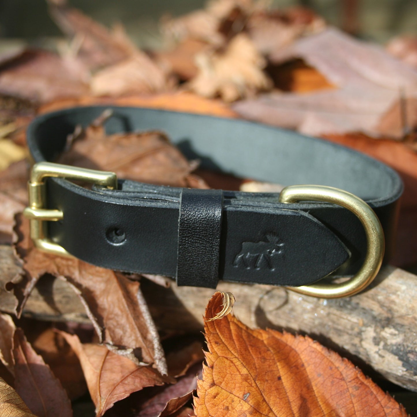 Classic Leather Collars