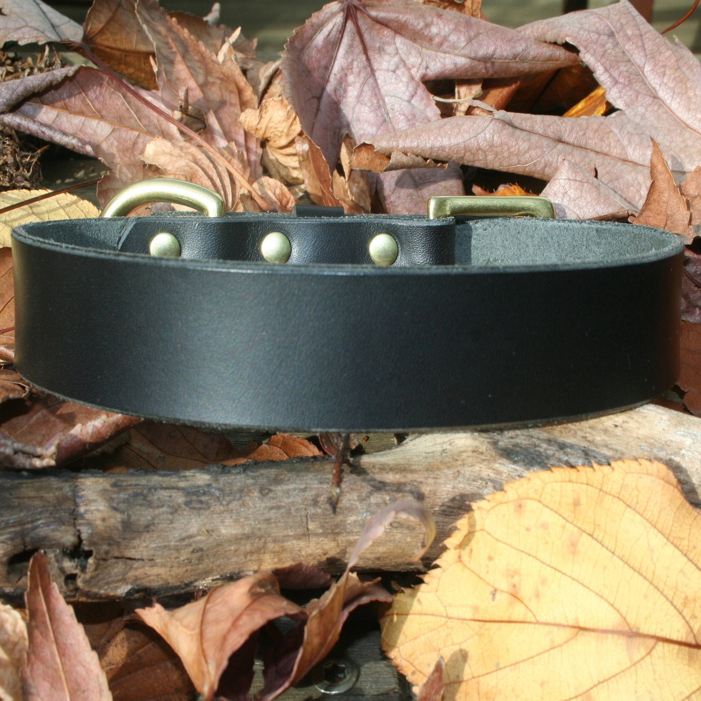 Classic Leather Collars
