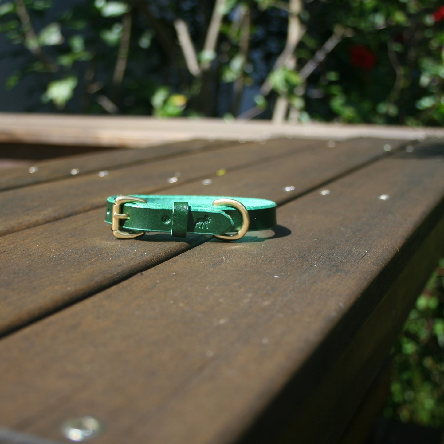 Classic Leather Collars