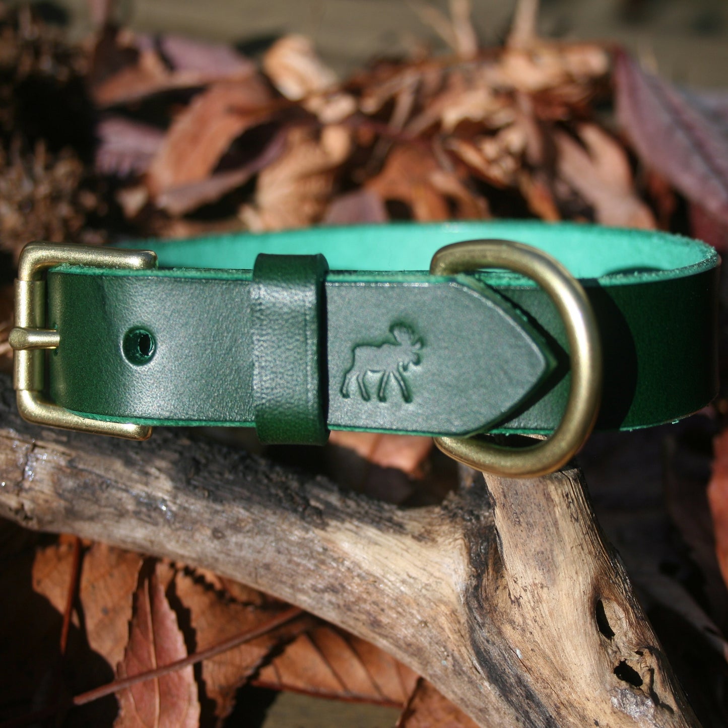 Classic Leather Collars