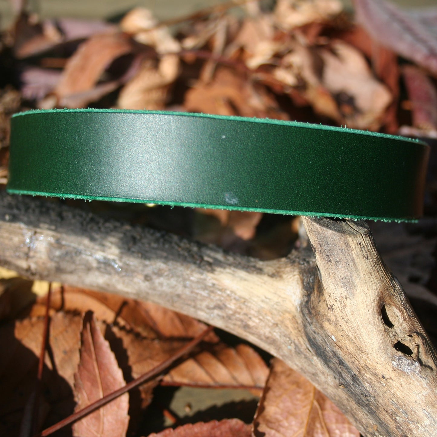 Classic Leather Collars
