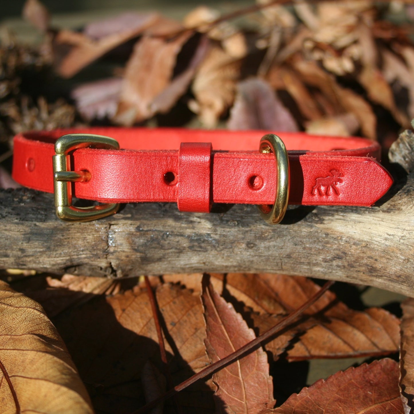 Classic Leather Collars