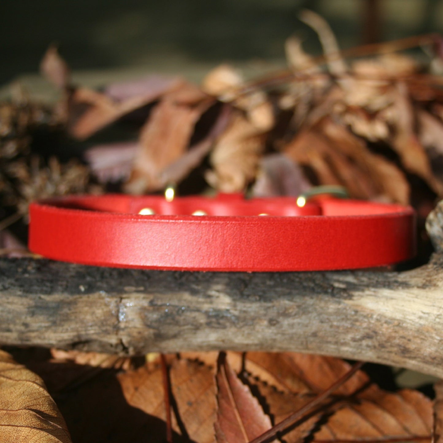 Classic Leather Collars