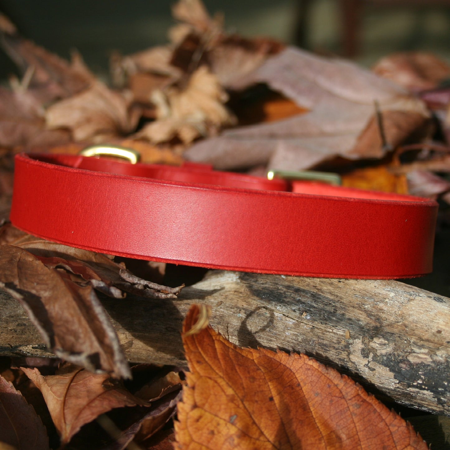 Red Leather Collar