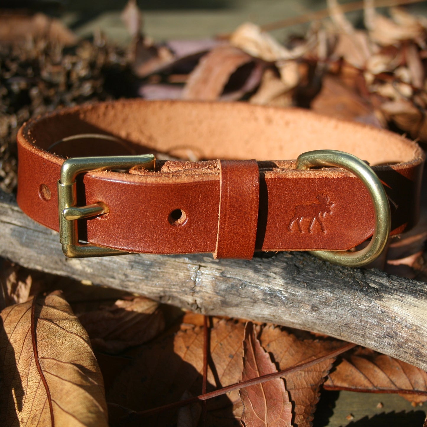 Classic Leather Collars