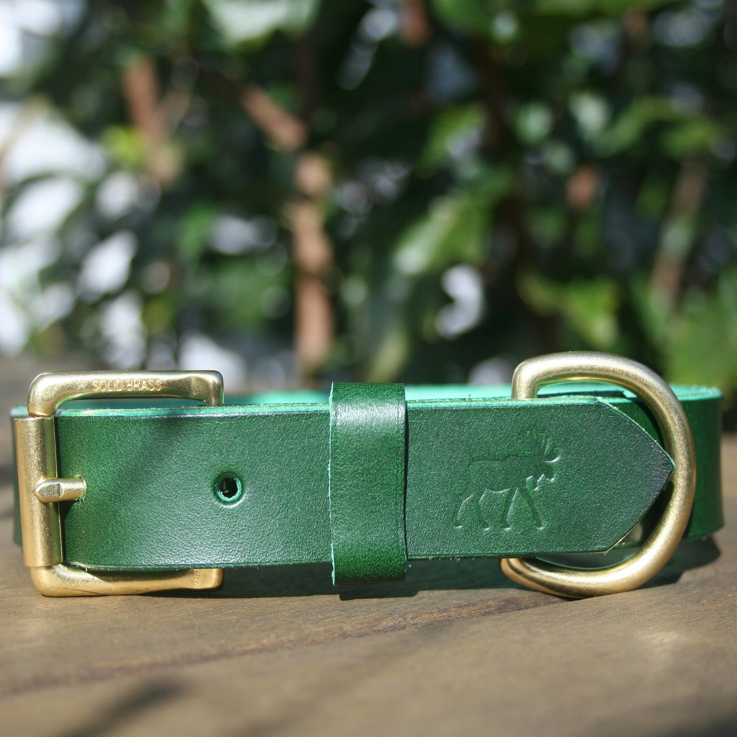 Classic Leather Collars