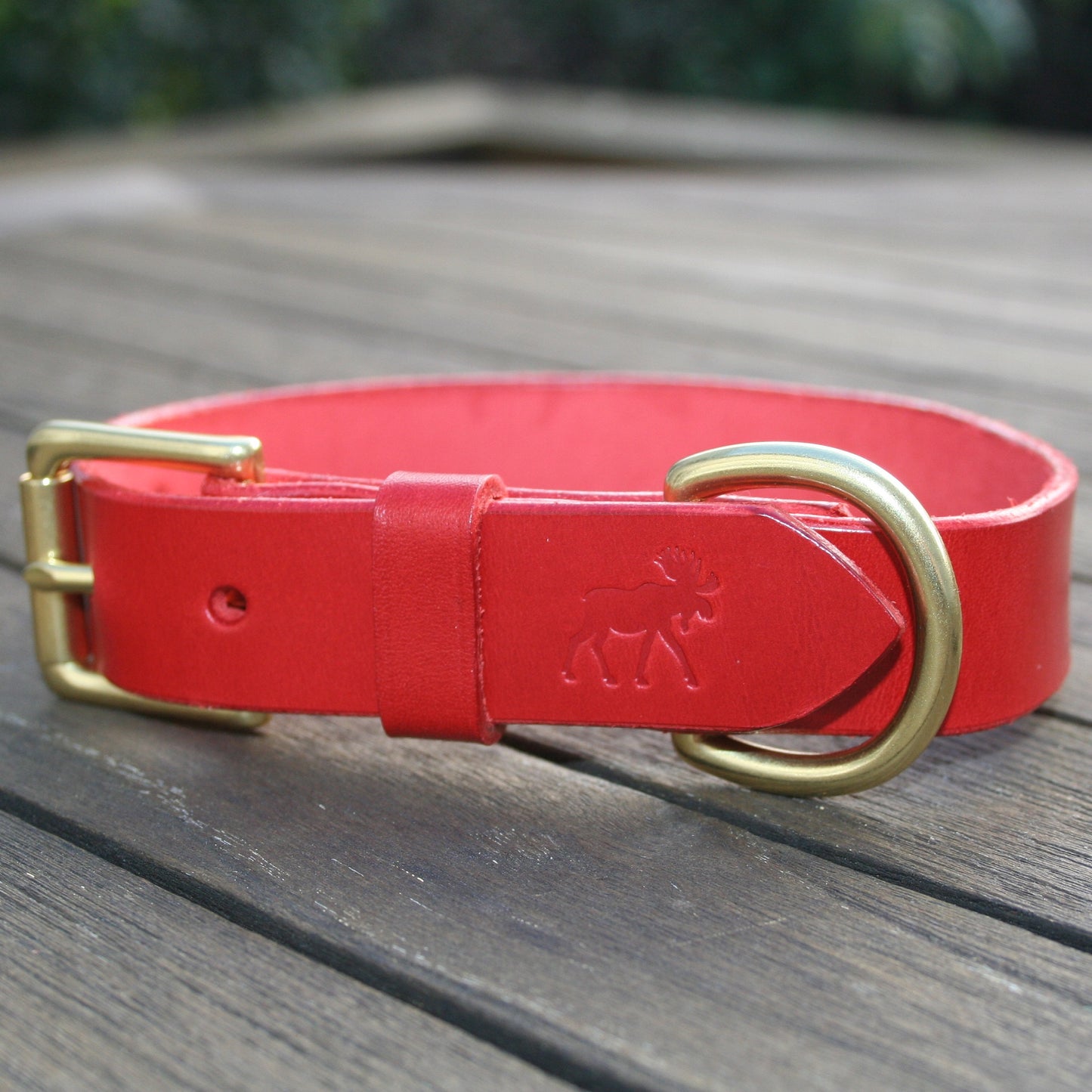 Classic Leather Collars