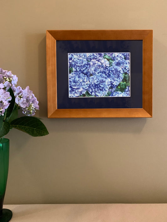 Hydrangeas - Framed Print