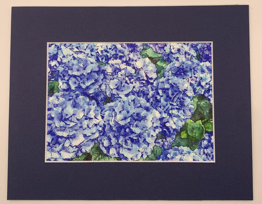 Hydrangeas