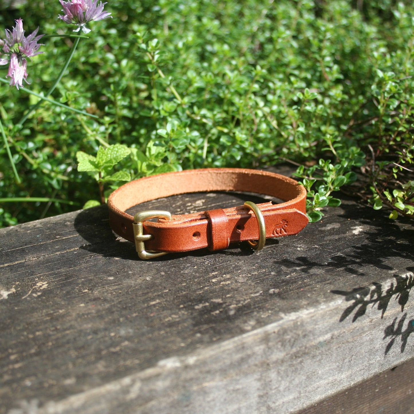 Classic Leather Collars