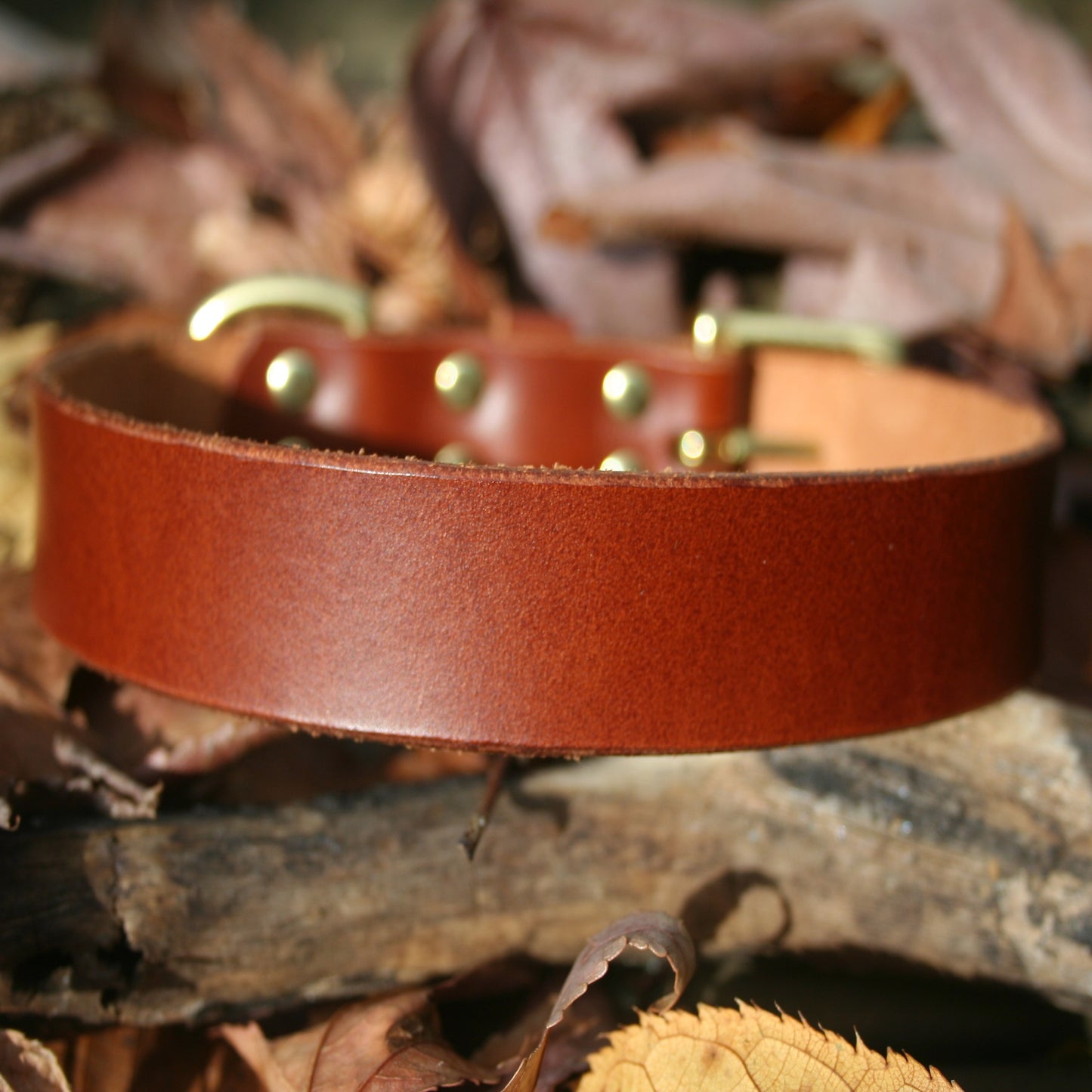 Classic Leather Collars